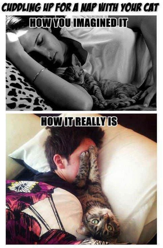 funny-pictures-587