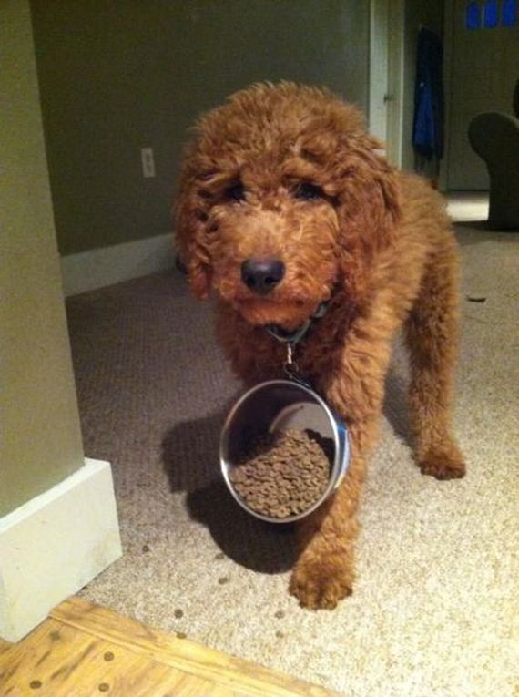 funny-pictures-587