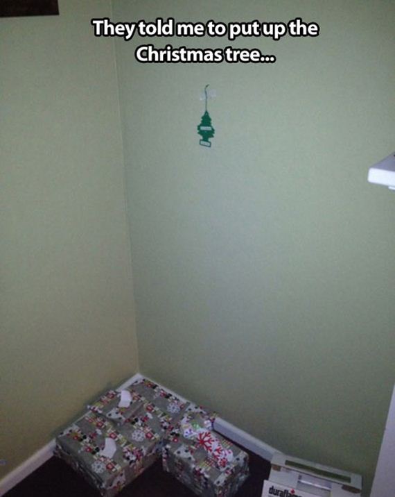 funny-pictures-588