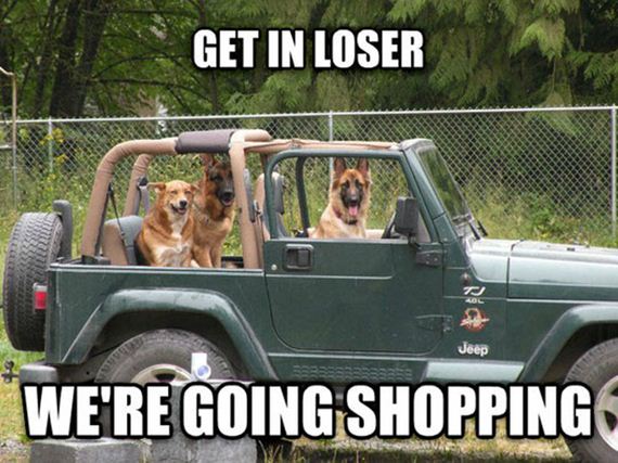 funny-pictures-588