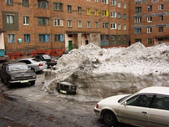 funny-pictures-589