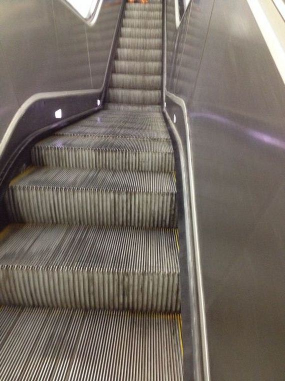 funny-pictures-590