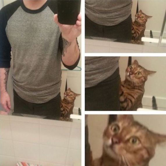 funny-pictures-590