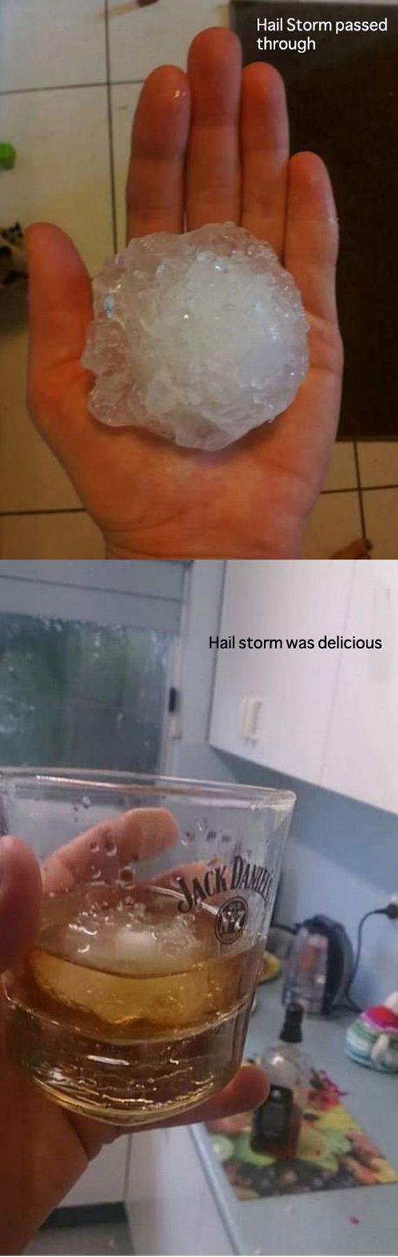 funny-pictures-592