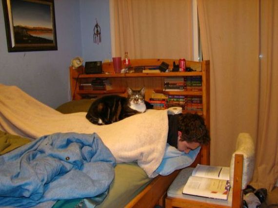 funny-pictures-594