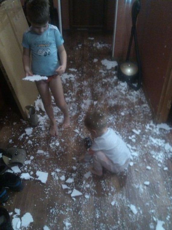 funny-pictures-595