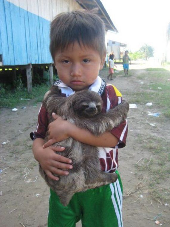funny-pictures-595