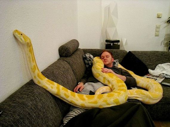 funny-pictures-597