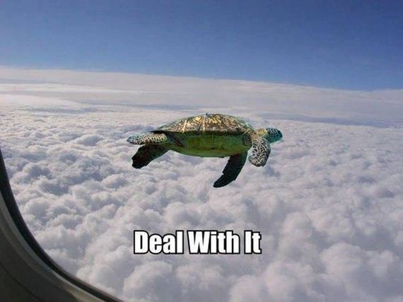 funny-pictures-597