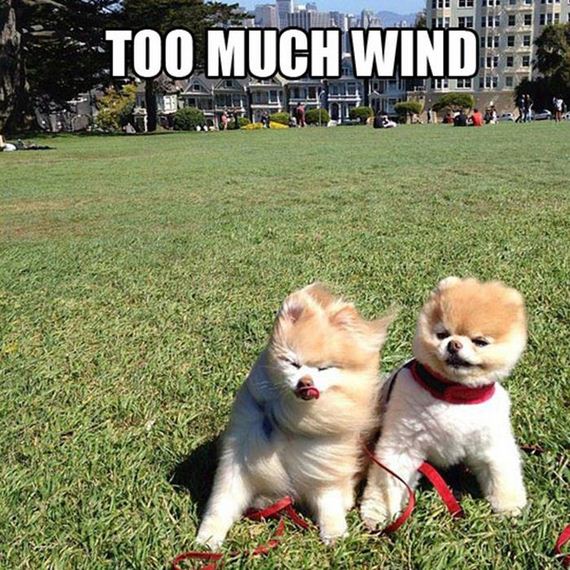 funny-pictures-597