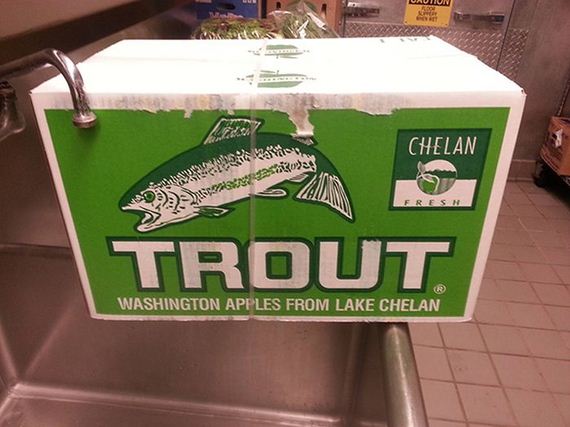 funny-pictures-597