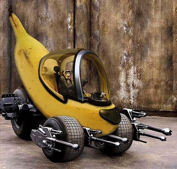 funny-pictures-597