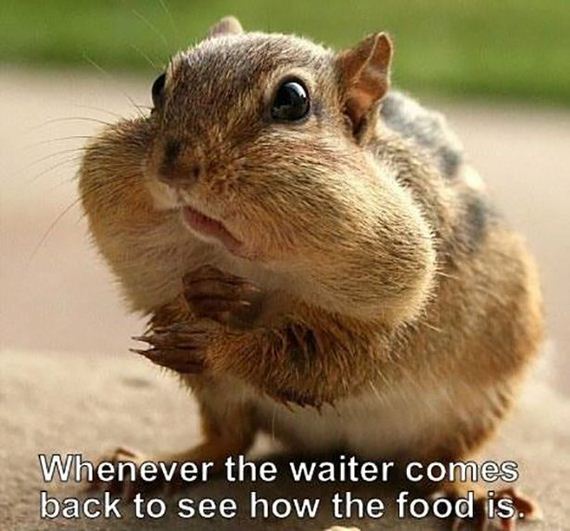 funny-pictures-597