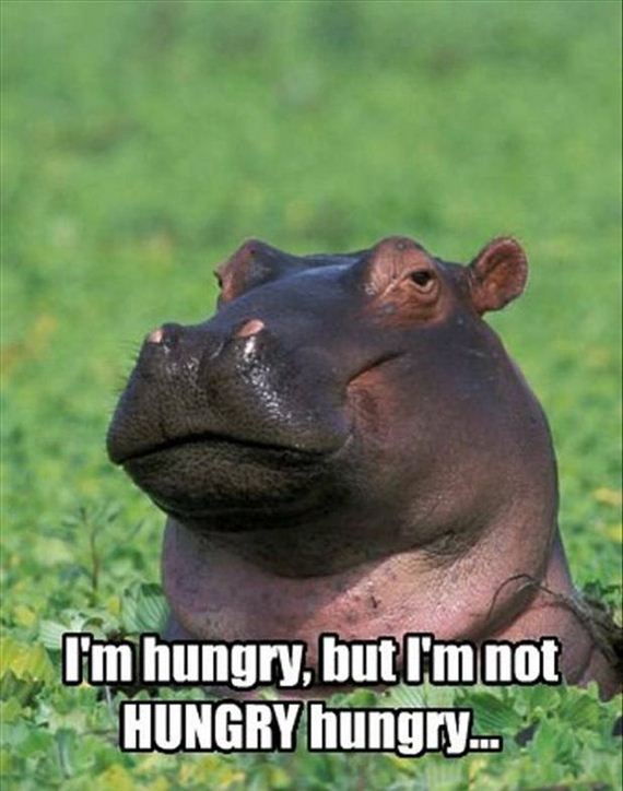 funny-pictures-597