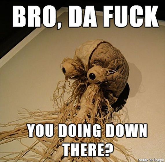 funny-pictures-597