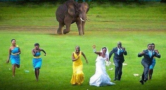 funny-pictures-600