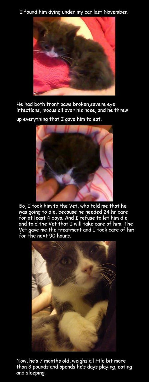 funny-pictures-600