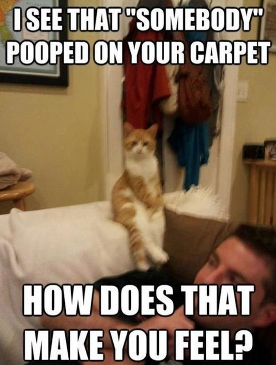 funny-pictures-601