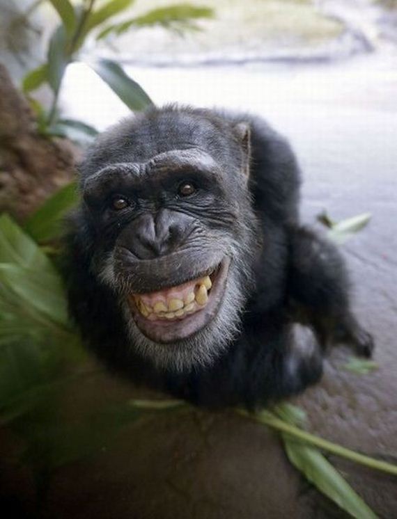 funny-pictures-601