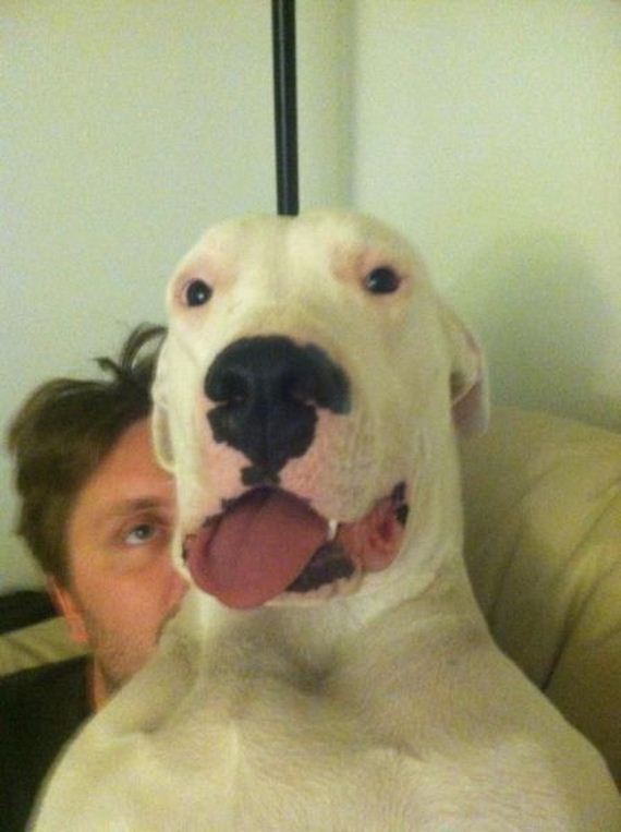 funny-pictures-601