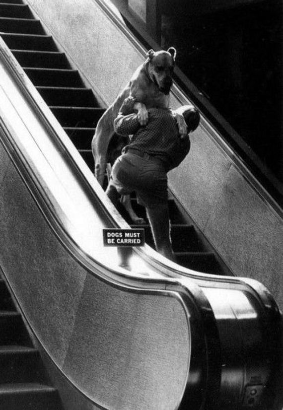 funny-pictures-601
