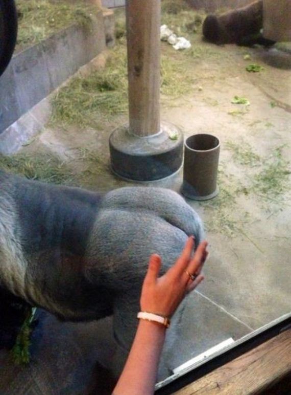 funny-pictures-602