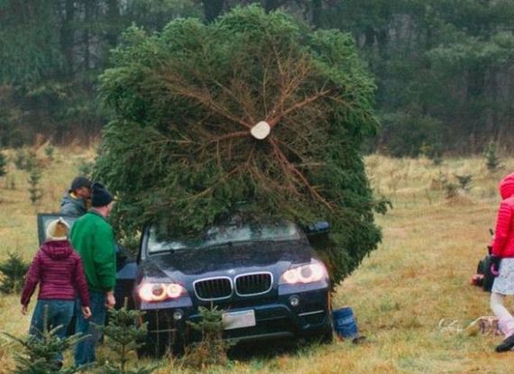 funny-pictures-603