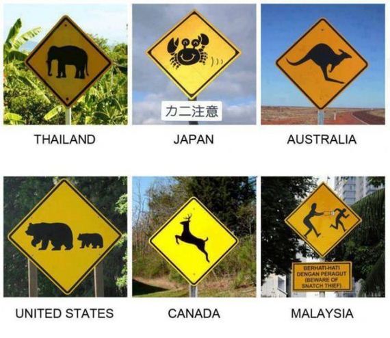 funny-pictures-603