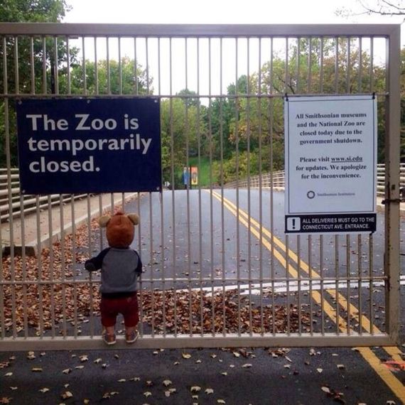 funny-pictures-605