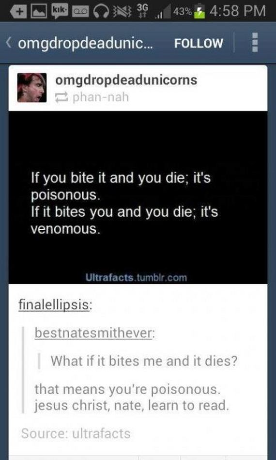 funny-pictures-606