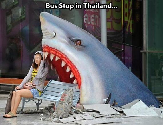 funny-pictures-606