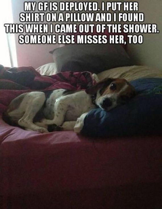 funny-pictures-607