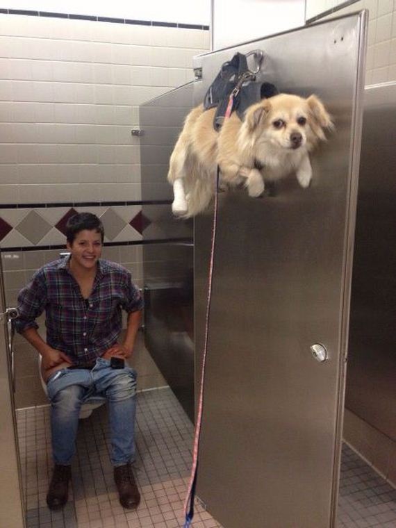funny-pictures-609