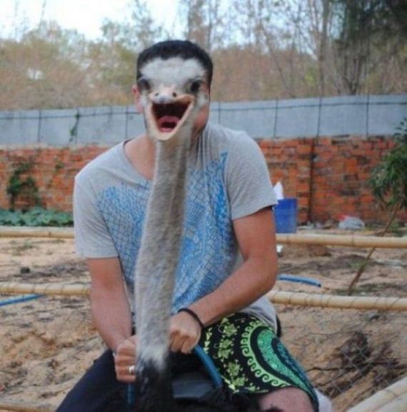 funny-pictures-610