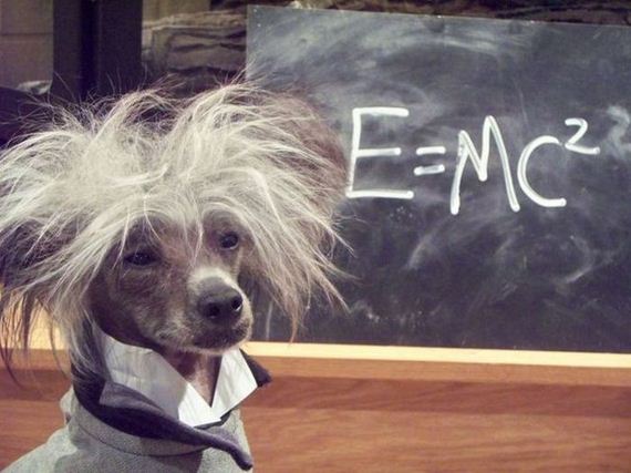 funny-pictures-611