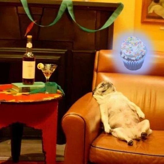 funny-pictures-612