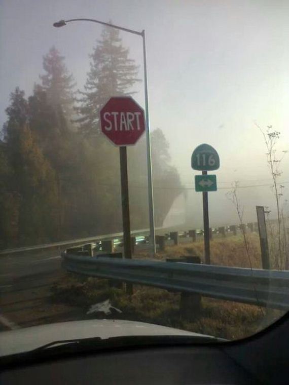 funny-pictures-612