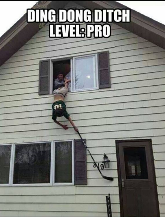 funny-pictures-614