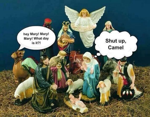 funny-pictures-614