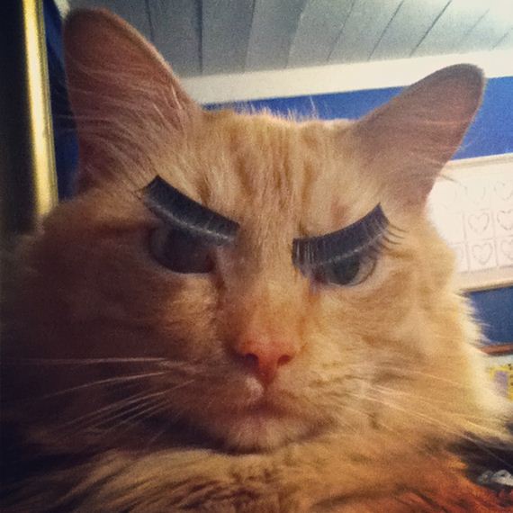 funny-pictures-614