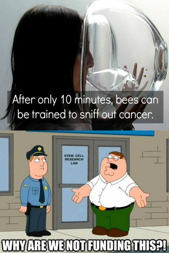 funny-pictures-616