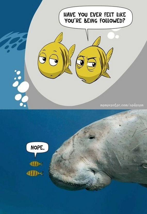 funny-pictures-616
