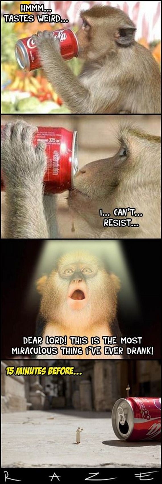 funny-pictures-616