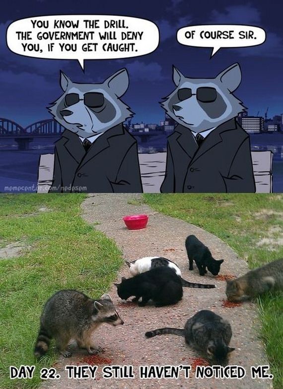 funny-pictures-616