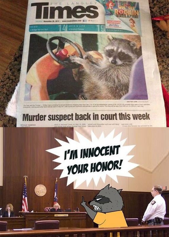 funny-pictures-616