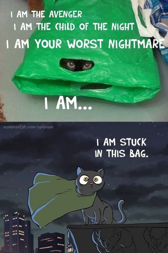 funny-pictures-616