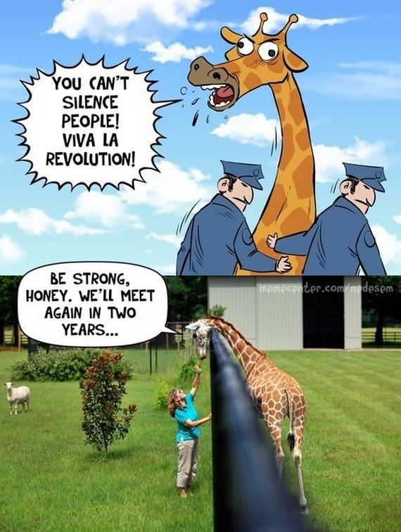 funny-pictures-616