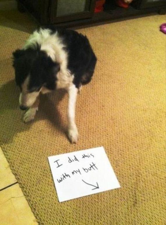 funny-pictures-616