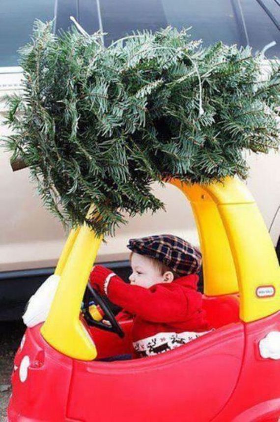 funny-pictures-616
