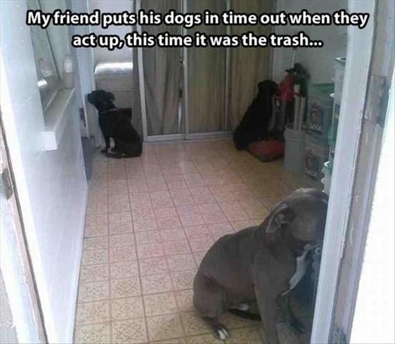 funny-pictures-616